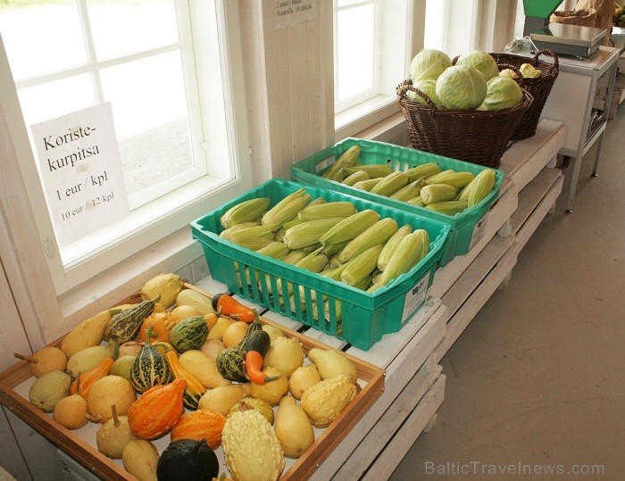 Vasaras laikā Suttisen ferma piedāvā daudzveidīgu dārzeņu un augu piedāvājumu, kas ir audzēti ekoloģiskos apstākļos.Rezervē lidojumu:www.ryanair.com 66988