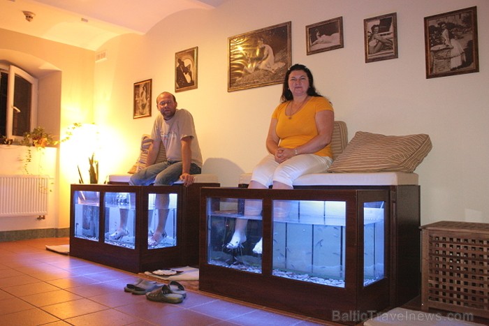 Garra Rufa SPA ir pirmais SPA Latvijā, kas piedāvā īpašu skaistumkopšanas un labsajūtas uzlabošanas iespēju - zivju SPA www.garrarufaspa.lv Garra Rufa SPA ir pirmais SPA Latvijā, kas piedāvā īpašu skaistumkopšanas un labsajūtas uzlabošanas iespēju - zivju SPA www.garrarufaspa.lv 67049
