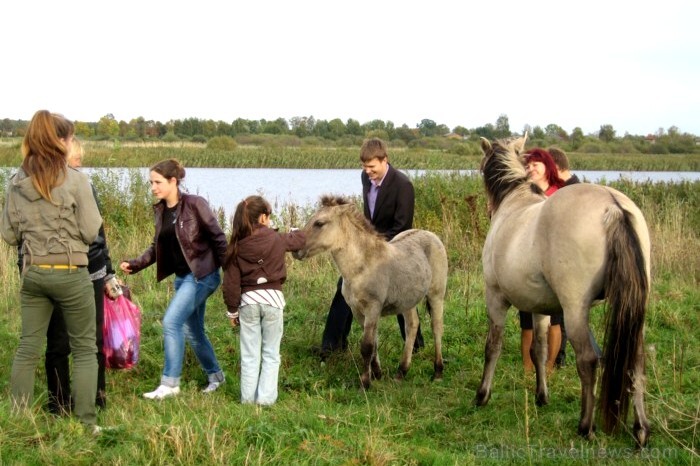 Jelgavā godam nosvinēta Pasaules tūrisma diena 2011, piedāvājot daudzas dažnedažādas aktivitātes visas dienas garumā. Jelgava, 27.09.2011. Jelgavā godam nosvinēta Pasaules tūrisma diena 2011, piedāvājot daudzas dažnedažādas aktivitātes visas dienas garumā. Jelgava, 27.09.2011. 67445