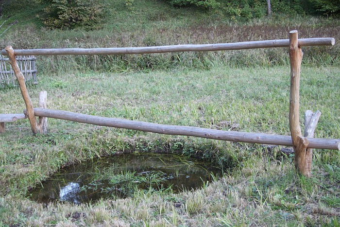 Raganu pļava pie Zvārtes ieža 67488