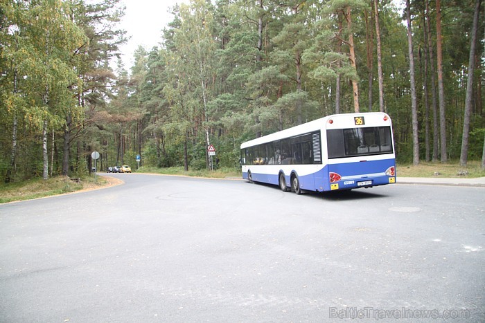 Vecbuļļu dabas liegumā ir ērti nokļūt ar Rīgas pilsētas sabiedrisko transportu 67578