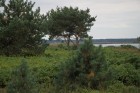 Vecbuļļu dabas liegums ir vieta klusai atpūtai Rīgā - Lielupes ieteka Rīgas jūras līcī 2