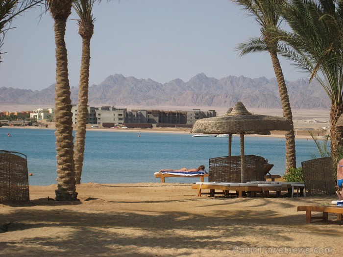 Travelnews.lv redakcija ar starptautiskā tūroperatora Tez tour (www.teztour.lv) gādību bauda Ēģiptes saules viesnīcu InterContinental Abu Soma Resort Travelnews.lv redakcija ar starptautiskā tūroperatora Tez tour (www.teztour.lv) gādību bauda Ēģiptes saules viesnīcu InterContinental Abu Soma Resort 68013
