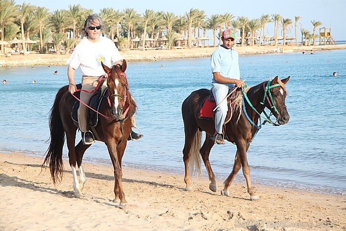Travelnews.lv redakcija ar starptautiskā tūroperatora Tez tour (www.teztour.lv) gādību bauda Ēģiptes saules viesnīcu InterContinental Abu Soma Resort Travelnews.lv redakcija ar starptautiskā tūroperatora Tez tour (www.teztour.lv) gādību bauda Ēģiptes saules viesnīcu InterContinental Abu Soma Resort 68020