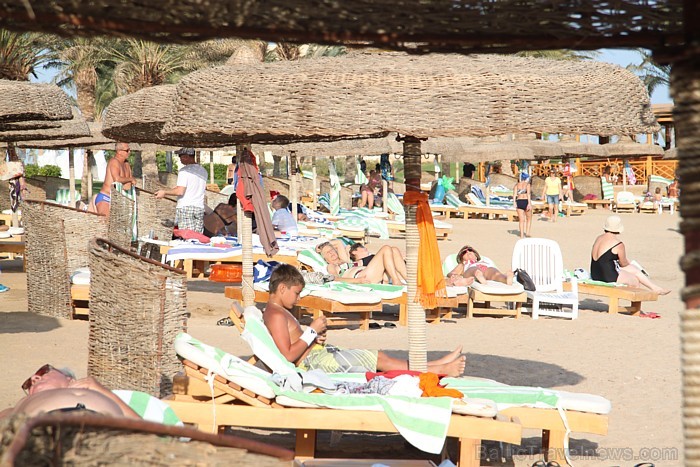 Travelnews.lv redakcija ar starptautiskā tūroperatora Tez tour (www.teztour.lv) gādību bauda Ēģiptes saules viesnīcu InterContinental Abu Soma Resort Travelnews.lv redakcija ar starptautiskā tūroperatora Tez tour (www.teztour.lv) gādību bauda Ēģiptes saules viesnīcu InterContinental Abu Soma Resort 68047