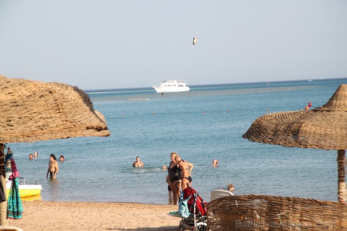 Travelnews.lv redakcija ar starptautiskā tūroperatora Tez tour (www.teztour.lv) gādību bauda Ēģiptes saules viesnīcu InterContinental Abu Soma Resort Travelnews.lv redakcija ar starptautiskā tūroperatora Tez tour (www.teztour.lv) gādību bauda Ēģiptes saules viesnīcu InterContinental Abu Soma Resort 68050