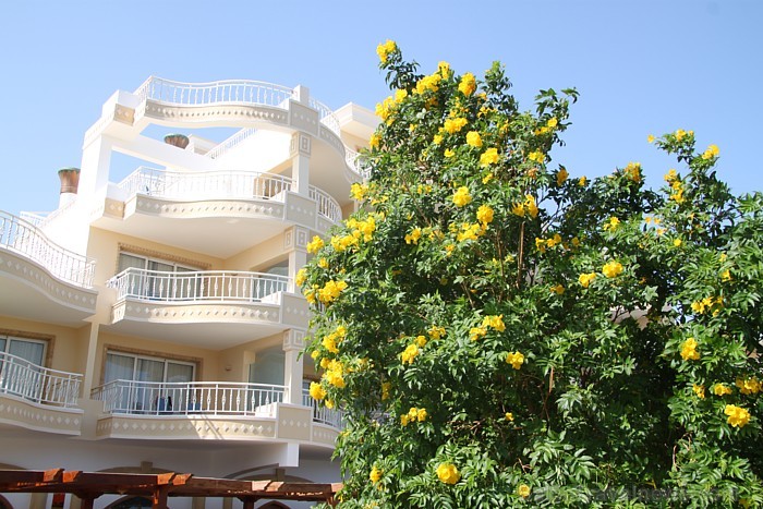 Travelnews.lv redakcija ar starptautiskā tūroperatora Tez tour (www.teztour.lv) gādību bauda Ēģiptes saules viesnīcu InterContinental Abu Soma Resort Travelnews.lv redakcija ar starptautiskā tūroperatora Tez tour (www.teztour.lv) gādību bauda Ēģiptes saules viesnīcu InterContinental Abu Soma Resort 68054
