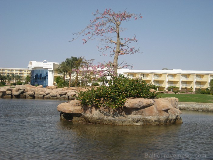 Travelnews.lv redakcija ar starptautiskā tūroperatora Tez tour (www.teztour.lv) gādību bauda Ēģiptes saules viesnīcu InterContinental Abu Soma Resort Travelnews.lv redakcija ar starptautiskā tūroperatora Tez tour (www.teztour.lv) gādību bauda Ēģiptes saules viesnīcu InterContinental Abu Soma Resort 68057