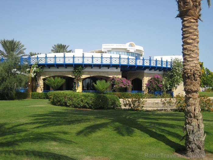 Travelnews.lv redakcija ar starptautiskā tūroperatora Tez tour (www.teztour.lv) gādību bauda Ēģiptes saules viesnīcu InterContinental Abu Soma Resort Travelnews.lv redakcija ar starptautiskā tūroperatora Tez tour (www.teztour.lv) gādību bauda Ēģiptes saules viesnīcu InterContinental Abu Soma Resort 68059