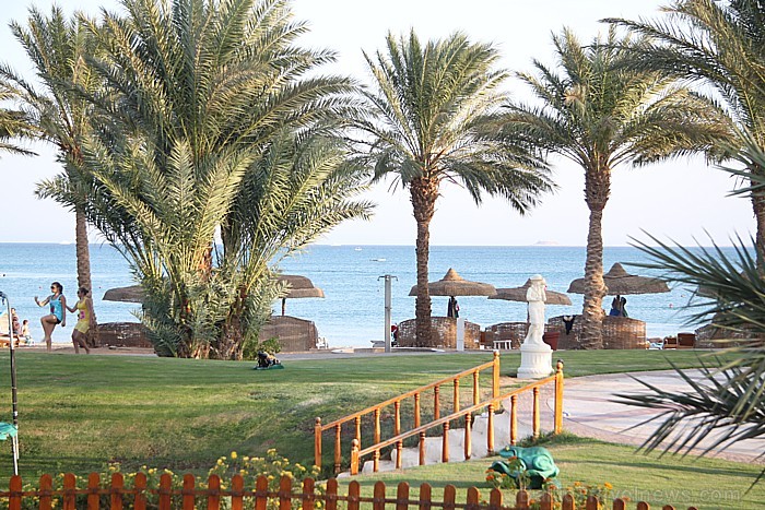 Travelnews.lv redakcija ar starptautiskā tūroperatora Tez tour (www.teztour.lv) gādību bauda Ēģiptes saules viesnīcu InterContinental Abu Soma Resort Travelnews.lv redakcija ar starptautiskā tūroperatora Tez tour (www.teztour.lv) gādību bauda Ēģiptes saules viesnīcu InterContinental Abu Soma Resort 68061