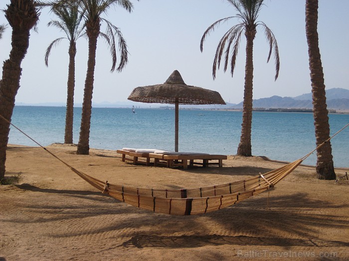 Travelnews.lv redakcija ar starptautiskā tūroperatora Tez tour (www.teztour.lv) gādību bauda Ēģiptes saules viesnīcu InterContinental Abu Soma Resort Travelnews.lv redakcija ar starptautiskā tūroperatora Tez tour (www.teztour.lv) gādību bauda Ēģiptes saules viesnīcu InterContinental Abu Soma Resort 68065