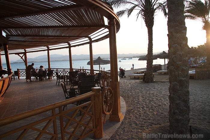 Travelnews.lv redakcija ar starptautiskā tūroperatora Tez tour (www.teztour.lv) gādību bauda Ēģiptes saules viesnīcu InterContinental Abu Soma Resort Travelnews.lv redakcija ar starptautiskā tūroperatora Tez tour (www.teztour.lv) gādību bauda Ēģiptes saules viesnīcu InterContinental Abu Soma Resort 68066