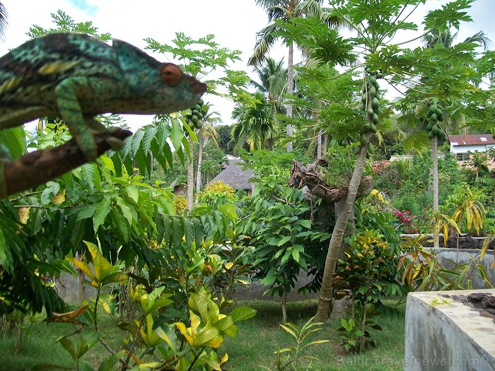 Balvas «Gada cilvēks tūrismā 2010» ieguvēja Gaida Matisone (avīzes Telegraf žurnāliste) apceļo noslēpumaino Madagaskaru Foto: Gaida Matisone Balvas «Gada cilvēks tūrismā 2010» ieguvēja Gaida Matisone (avīzes Telegraf žurnāliste) apceļo noslēpumaino Madagaskaru Foto: Gaida Matisone 68198