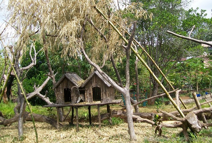 Balvas «Gada cilvēks tūrismā 2010» ieguvēja Gaida Matisone (avīzes Telegraf žurnāliste) apceļo noslēpumaino Madagaskaru Foto: Gaida Matisone Balvas «Gada cilvēks tūrismā 2010» ieguvēja Gaida Matisone (avīzes Telegraf žurnāliste) apceļo noslēpumaino Madagaskaru Foto: Gaida Matisone 68200