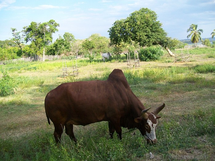 Balvas «Gada cilvēks tūrismā 2010» ieguvēja Gaida Matisone (avīzes Telegraf žurnāliste) apceļo noslēpumaino Madagaskaru Foto: Gaida Matisone Balvas «Gada cilvēks tūrismā 2010» ieguvēja Gaida Matisone (avīzes Telegraf žurnāliste) apceļo noslēpumaino Madagaskaru Foto: Gaida Matisone 68223