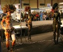 Izstāde «Baltic Beauty 2011» Ķīpsalā - 10. starptautiskais Body art konkurss 16