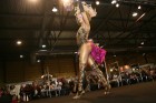 «Body art 2011» konkurss Ķīpsalā 6