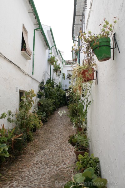 Romantiskākā Priego de Cordoba vieta ir tā vecpilsēta ar šaurām ieliņām, baltām mājām un lielu puķu podu skaitu Romantiskākā Priego de Cordoba vieta ir tā vecpilsēta ar šaurām ieliņām, baltām mājām un lielu puķu podu skaitu 68995