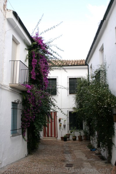 Romantiskākā Priego de Cordoba vieta ir tā vecpilsēta ar šaurām ieliņām, baltām mājām un lielu puķu podu skaitu Romantiskākā Priego de Cordoba vieta ir tā vecpilsēta ar šaurām ieliņām, baltām mājām un lielu puķu podu skaitu 68996