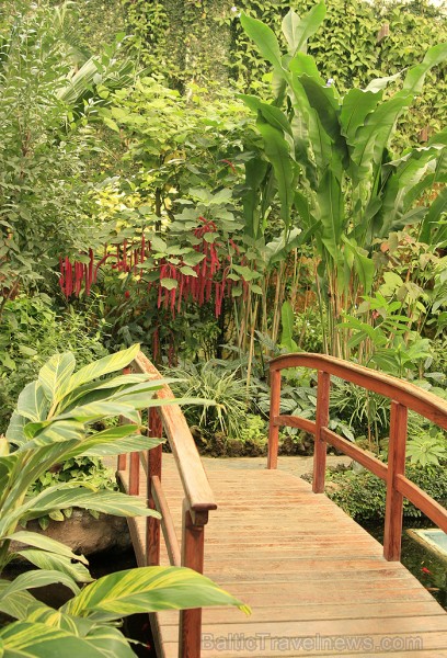 Mariposario del Drago dārzā sajūties kā īstos džungļos - www.novatours.lv 70181