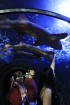 Viens no iespaidīgākajiem skatiem ir 18 metrus garā stikla tunelī apskatāmās haizivis, rajas un citi okeāna iemītnieki 47