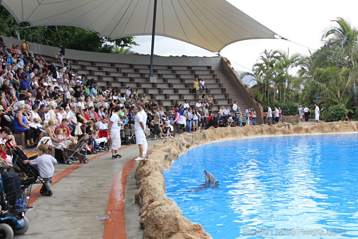 Arī delfīnu šovs pulcē ļoti daudz skatītāju - www.novatours.lv 70434