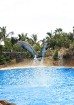Delfīnu šovs ir viens no apmeklētākajiem šoviem Loro parkā 27