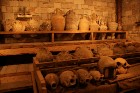 Iepazīsti olīveļļas vēsturi, ražošanas veidus un izplatīšanas ceļus  Turcijas Olīveļļas muzejā OleAtriuM 31