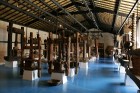 Iepazīsti olīveļļas vēsturi, ražošanas veidus un izplatīšanas ceļus  Turcijas Olīveļļas muzejā OleAtriuM 39