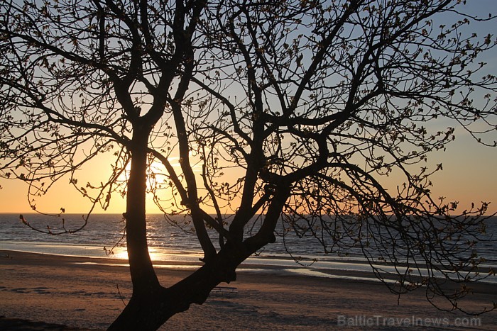 Jūrmalas 5 zvaigžņu viesnīca Baltic Beach Hotel atklāj jaunu Lobby bāru un viesu uzņemšanas zonu - www.BalticBeach.lv Jūrmalas 5 zvaigžņu viesnīca Baltic Beach Hotel atklāj jaunu Lobby bāru un viesu uzņemšanas zonu - www.BalticBeach.lv 75027