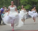 «Zelta keda 2012» - Līgavu skrējiens 14