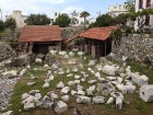 Halikarnāsas mauzolejs tika uzcelts valdnieka Mausola māsas un sievas Artemisijas vadībā 3