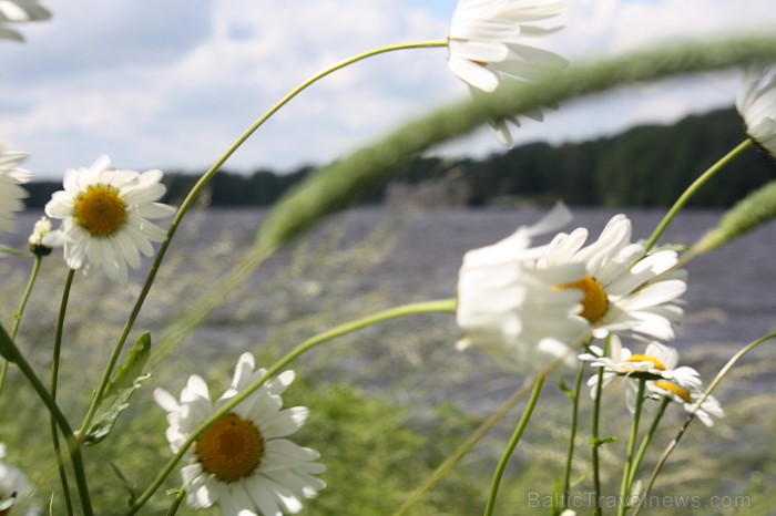Foto: Daina B. Piedalies arī Tu! Iesūti bildes uz info@travelnews.lv
Konkursa noteikumi šeit: Foto Konkurss Foto: Daina B. Piedalies arī Tu! Iesūti bildes uz info@travelnews.lv
Konkursa noteikumi šeit: Foto Konkurss 77911
