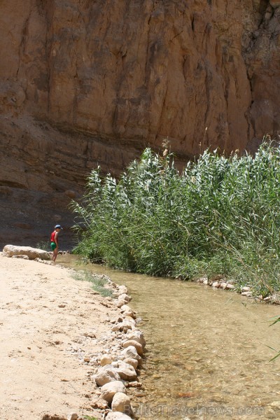 Tamaghza oāze Tunisijā 77775