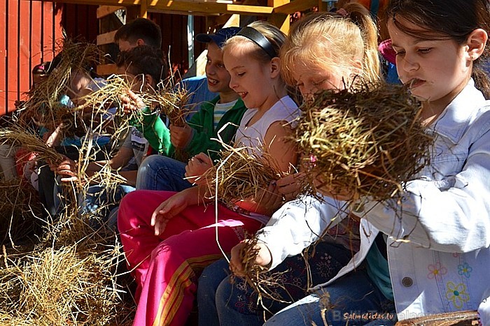 Salmu darbnīca, muzejs-vieta, kur salmi pārtop brīnumainās skulptūrās, lellēs, suvenīros.
Foto:Salmu lietas www.salmulietas.lv Salmu darbnīca, muzejs-vieta, kur salmi pārtop brīnumainās skulptūrās, lellēs, suvenīros.
Foto:Salmu lietas www.salmulietas.lv 78703