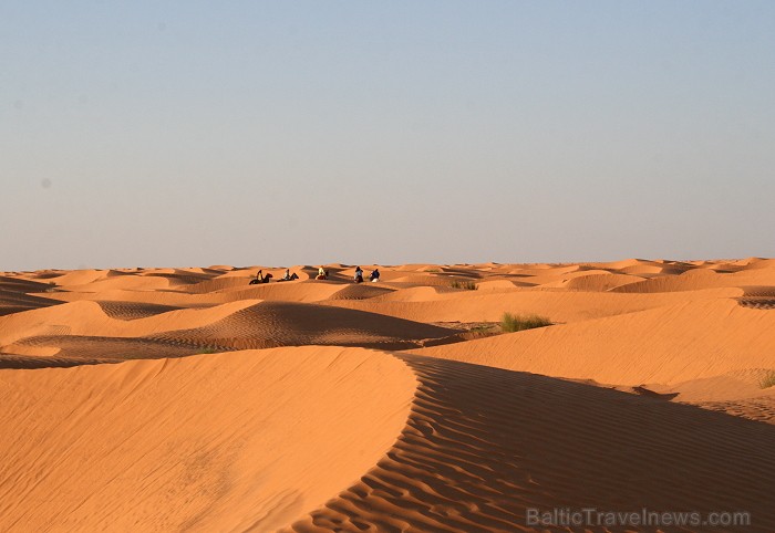Saulriets Sahāras tuksnesī apbur un vilina