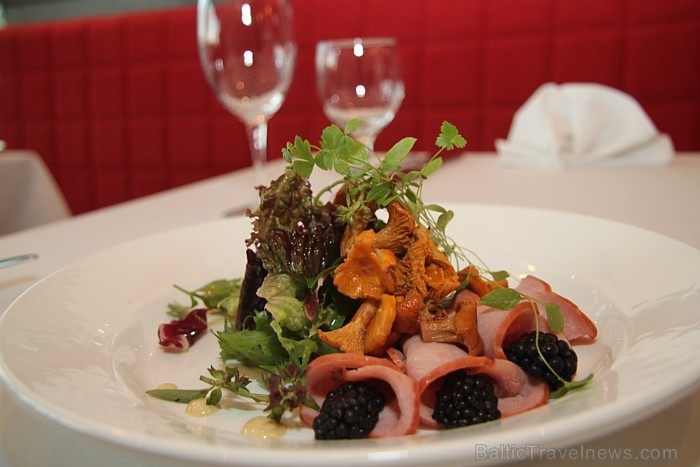 Viegli marinētu gaileņu salāti ar kazenēm, ķirštomātiņiem un
krējuma-garšaugu mērcīti
 = www.hotelavalon.eu 79783