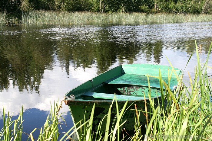 Enerģijas sēta atrodas ļoti skaistā vietā Navesti upes krastā. Enerģijas sētas viesi labprāt dodas pastaigā pa skaistām dabas taciņām 80501