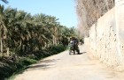 Travelnews.lv devās uz vienu no Tunisijas oāzēm, lai ieraudzītu kā aug dateles, citroni, banāni un granātāboli 2