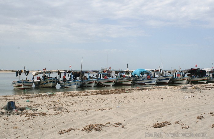 Esot Džerbas salā (Tunisija) noteikti dodies apciemot kādu no nelielām zvejnieku ostām, izbaudīt vietējo iedzīvotāju viesmīlību 81524