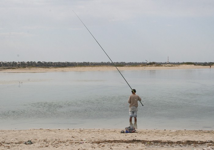 Esot Džerbas salā (Tunisija) noteikti dodies apciemot kādu no nelielām zvejnieku ostām, izbaudīt vietējo iedzīvotāju viesmīlību 81526