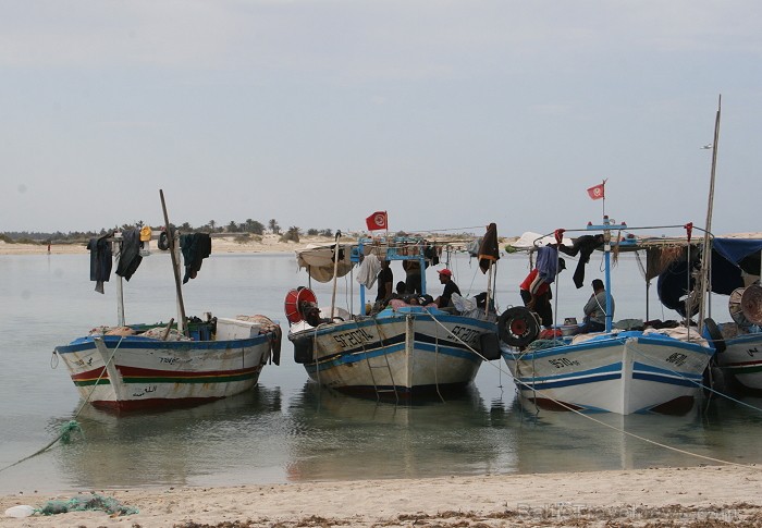 Esot Džerbas salā (Tunisija) noteikti dodies apciemot kādu no nelielām zvejnieku ostām, izbaudīt vietējo iedzīvotāju viesmīlību 81527