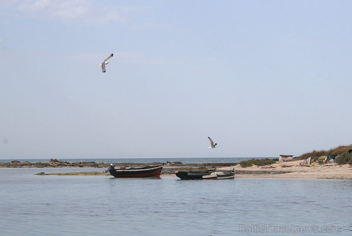 Esot Džerbas salā (Tunisija) noteikti dodies apciemot kādu no nelielām zvejnieku ostām, izbaudīt vietējo iedzīvotāju viesmīlību 81533