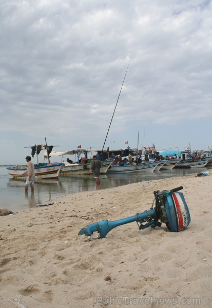 Esot Džerbas salā (Tunisija) noteikti dodies apciemot kādu no nelielām zvejnieku ostām, izbaudīt vietējo iedzīvotāju viesmīlību 81550