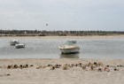 Esot Džerbas salā (Tunisija) noteikti dodies apciemot kādu no nelielām zvejnieku ostām, izbaudīt vietējo iedzīvotāju viesmīlību 10