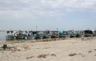 Esot Džerbas salā (Tunisija) noteikti dodies apciemot kādu no nelielām zvejnieku ostām, izbaudīt vietējo iedzīvotāju viesmīlību 13