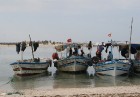 Esot Džerbas salā (Tunisija) noteikti dodies apciemot kādu no nelielām zvejnieku ostām, izbaudīt vietējo iedzīvotāju viesmīlību 16