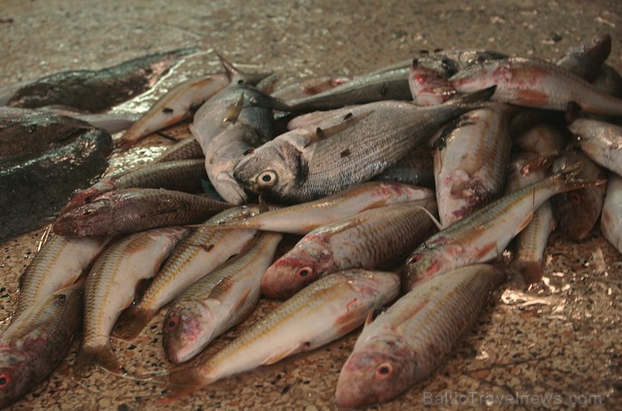 Latvijas tūristi ir laipni aicināti apmeklēt zivju tirgu Tunisijā 81584