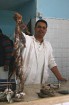 Latvijas tūristi ir laipni aicināti apmeklēt zivju tirgu Tunisijā 11