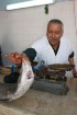Latvijas tūristi ir laipni aicināti apmeklēt zivju tirgu Tunisijā 13